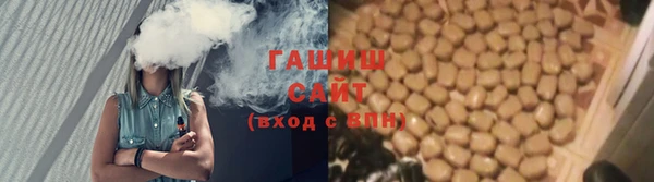 ГАЛЛЮЦИНОГЕННЫЕ ГРИБЫ Верея