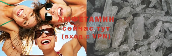 ГАЛЛЮЦИНОГЕННЫЕ ГРИБЫ Верея