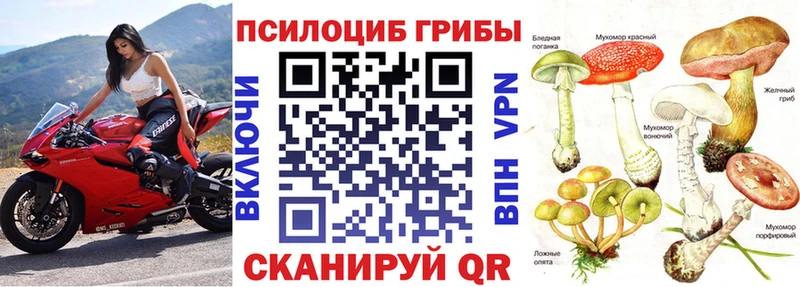 кракен tor  Закаменск  Псилоцибиновые грибы мицелий 