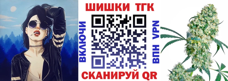 где купить наркоту  Закаменск  Каннабис индика 
